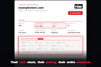 research any shopify store and send a full competitor intel report