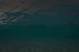 do 3d fluid, water simulation, water vfx, liquid simulation, soda animation