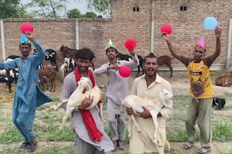 do happy birthday video or happy birthday