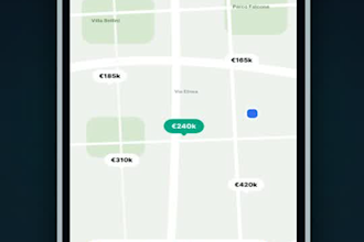 develop a flutter app with API integration