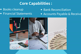 provide professional bookkeeping and accounting services