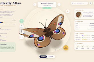 lovable ai website, fix lovable website, ai saas mvp, base44, replit ai
