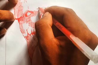draw your portrait using only a ballpoint pen