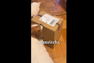 create authentic ugc videos for beauty, wellness, pet tech and lifestyle brands