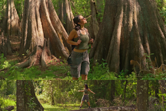 color grade your videos or films