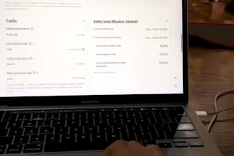 do ebay account reinstatement and store management expert