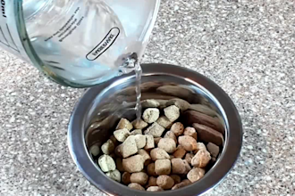 create dog ugc videos for your dog products or services