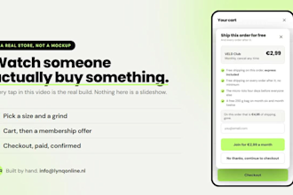 design and build a shopify store that converts
