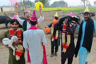 wish happy birthday video