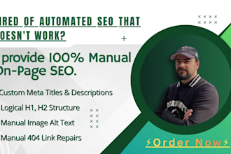 do manual on page SEO and technical audit for your blog