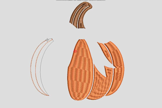 create professional embroidery digitizing and vector designs