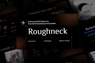 design a professional pitch deck and investor slide deck