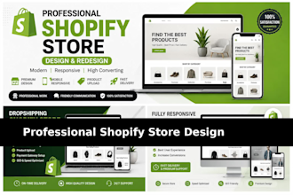 create a professional shopify store for your business