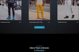 design a premium wordpress website using elementor pro