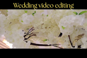edit your wedding highlight video, teaser, and reels