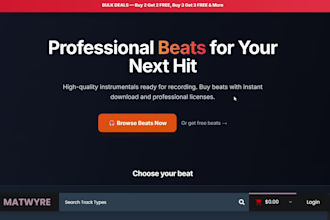 build a professional artist website and epk for musicians