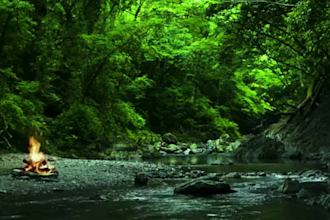 create 4k ambient meditation video yoga sleeping relaxing music nature sounds
