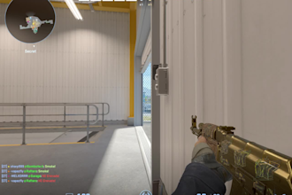 coach you in cs2 and will help you improve faster