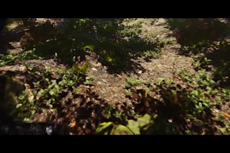 create realistic game level design 3d game environment 3d game map unity