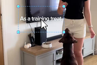 create pet product ugc video ads that convert