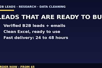 do b2b lead generation, web research and excel data cleaning fast