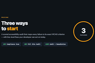 audit your website for wcag and ada accessibility compliance