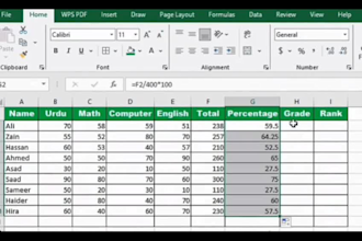 do fast service of writing and ms excel, ms word