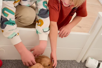 create dog and pet ugc video ads for instagram, tiktok or facebook