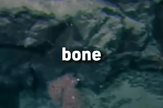edit marine life documentary videos for youtube channel, space, ocean, astronomy