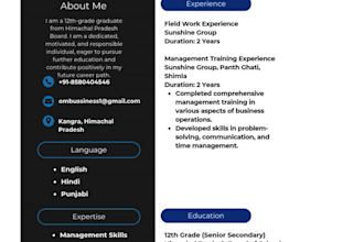 design a professional resume and CV for career success