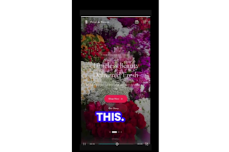 build a modern, responsive website using react and CSS