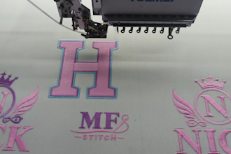 do professional embroidery digitizing for cap, logo digitizi
