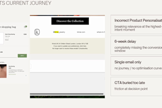 audit and optimise your klaviyo email flows