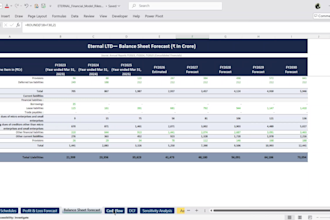 build a professional ib ready 3 statement financial model
