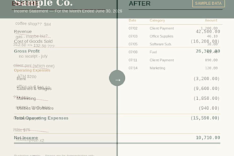 do bookkeeping, financial reports, and financial analysis for your busine