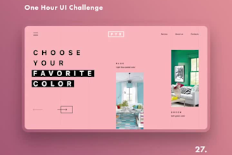 build a professional e commerce store or online shop