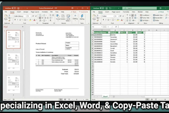 do accurate data entry, typing, PDF to excel, and copy paste