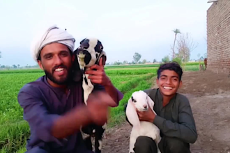 wish happy birthday video or happy birthday