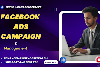 setup and manage facebook ads campaign,instagram ads