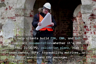 provide end to end CSV consultation