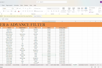 your advanced excel data analyst