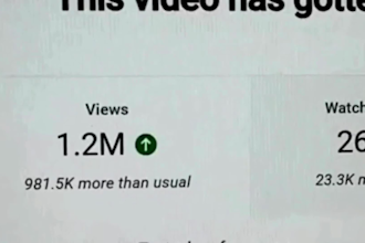 videos de vacas de efectivo super rapidos vacas de  yt sin rostro para  gan 30k