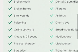 create ugc the can relate for pet health wellness travel and more