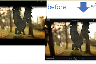 do watermark and subtitle removal