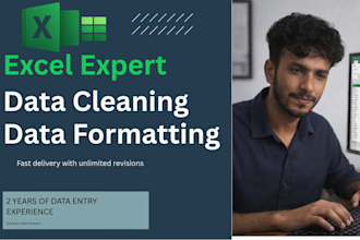 clean, format and organize excel or CSV data