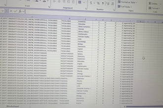 do professional data entry and excel services
