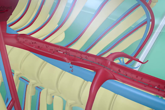 create a 3d medical device animation and surgical video