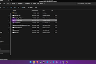 automate and organize your windows files with one click