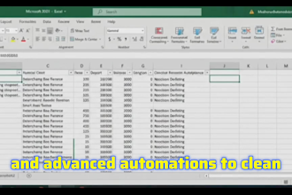 advanced data cleaning and excel automation