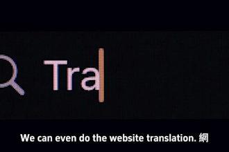 professional english chinese translation for business, travel, articles